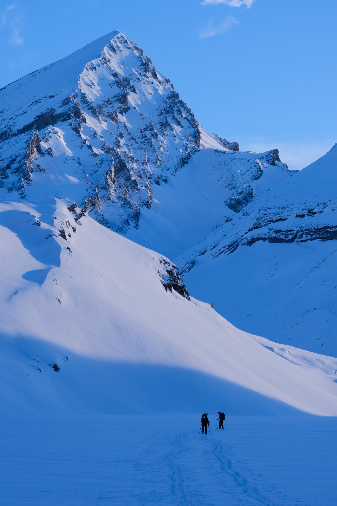 Rinderhorn
