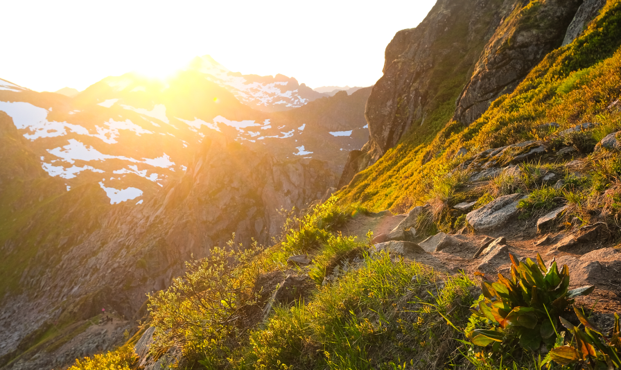 Midnight sun