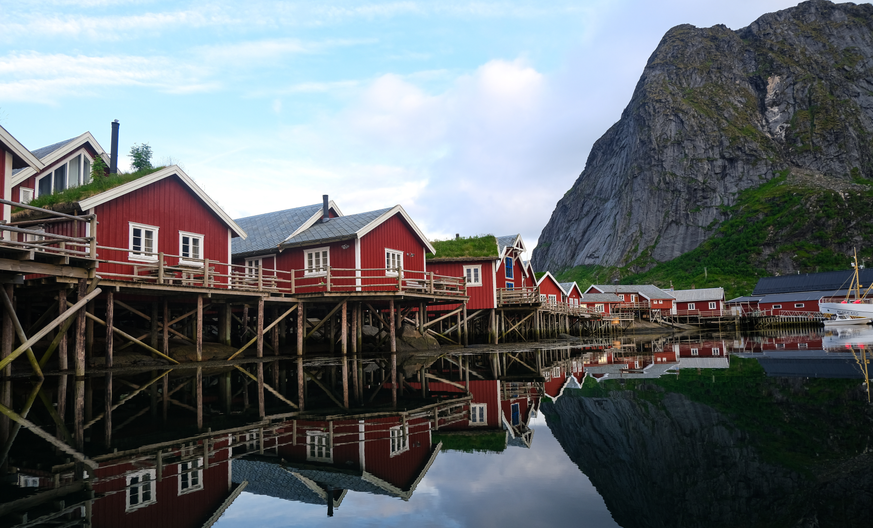 Reine houses