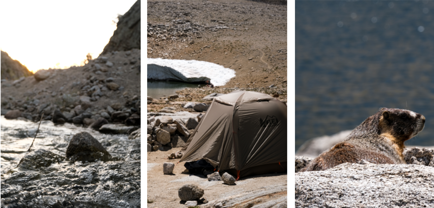 Way up to Shepherd Pass