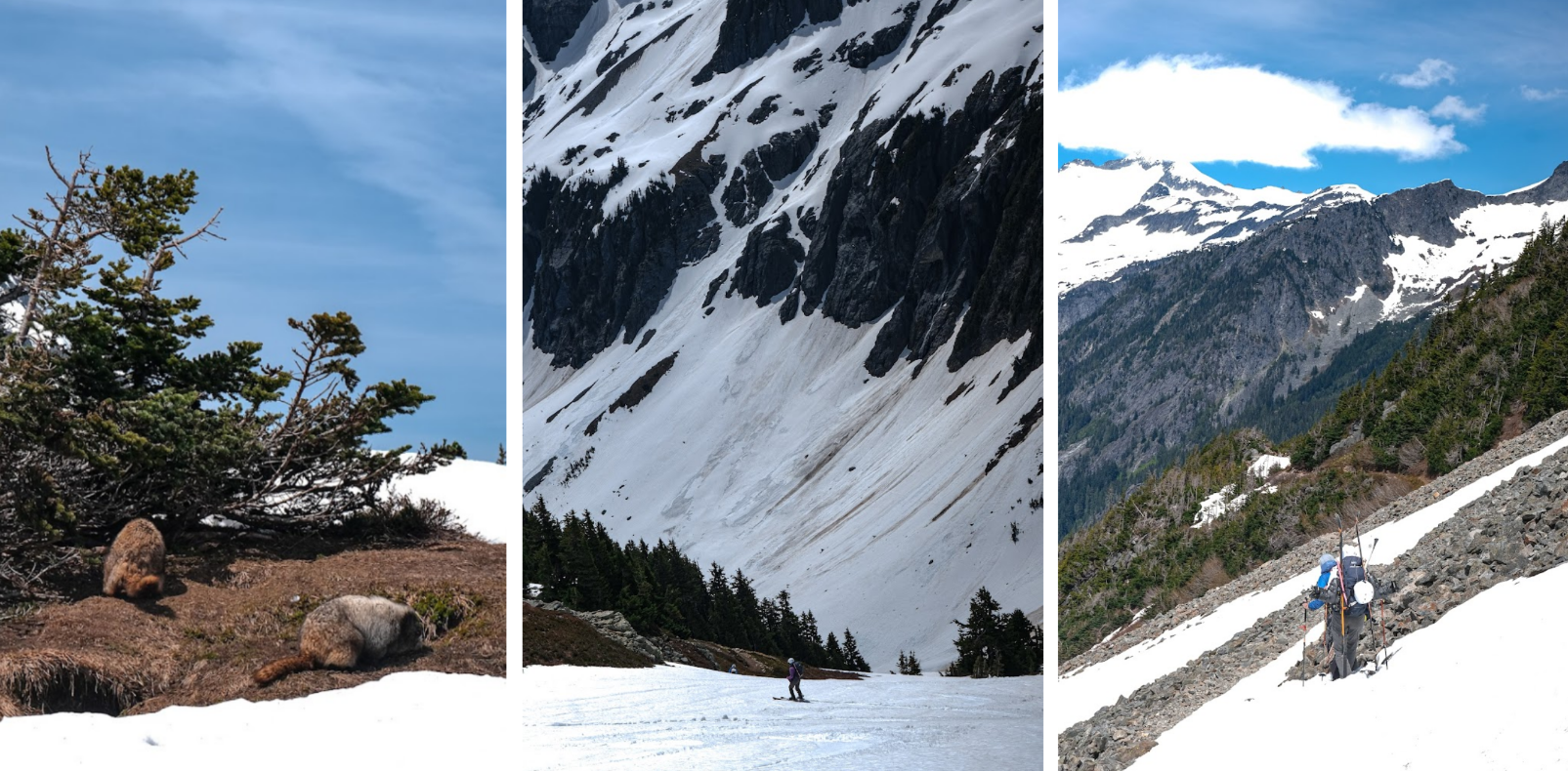 Fun descent from Sahale mountain